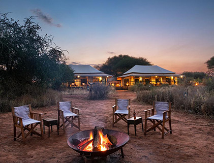 Tented camp under trees